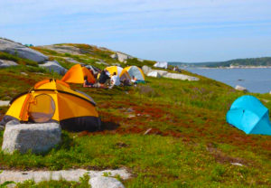 St Margarets Bay Hubbards Area